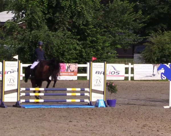 Reitturnier Mildstedt 2023
