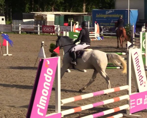 Reitturnier Mildstedt 2023