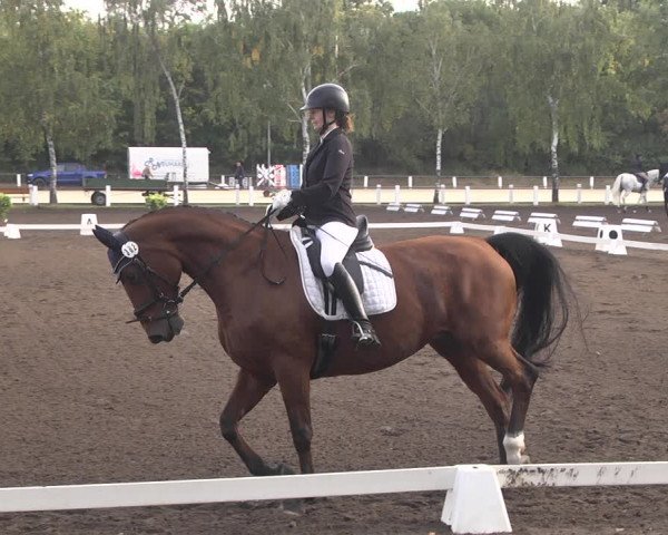 Reitturnier Forst 2021