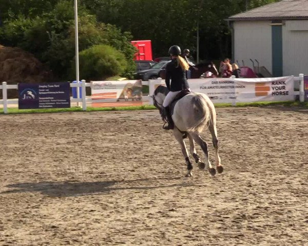 Reitturnier Mildstedt 2023