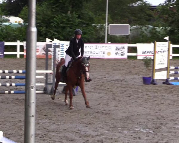 Reitturnier Mildstedt 2023