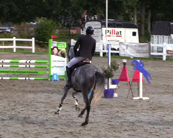 Reitturnier Mildstedt 2023