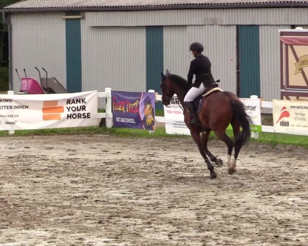 Reitturnier Mildstedt 2023