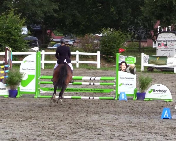 Reitturnier Mildstedt 2023