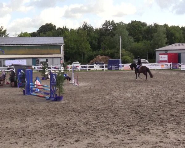 Reitturnier Mildstedt 2023