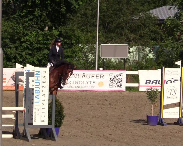 Reitturnier Mildstedt 2023