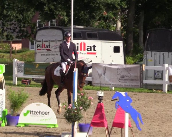 Reitturnier Mildstedt 2023