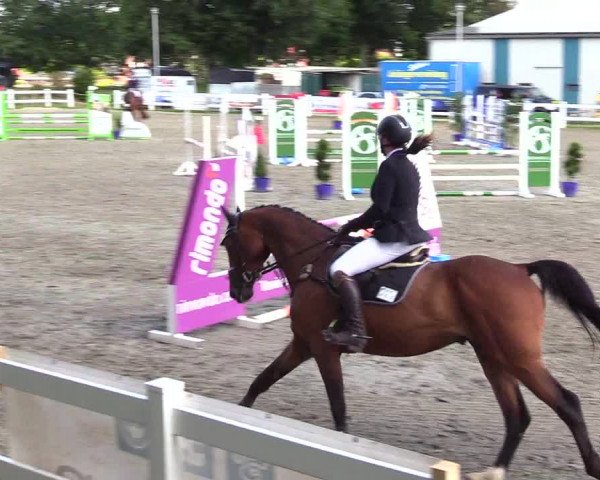 Reitturnier Mildstedt 2023