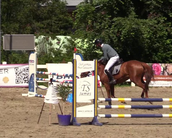 Reitturnier Mildstedt 2023