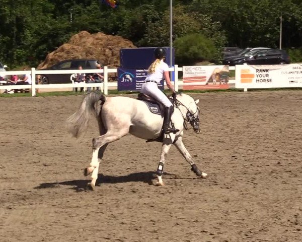 Reitturnier Mildstedt 2023