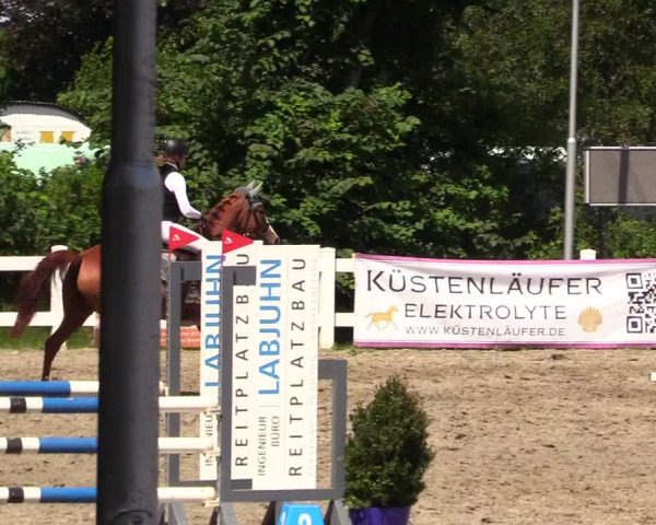 Reitturnier Mildstedt 2023