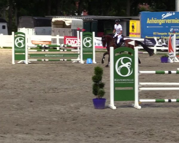 Reitturnier Mildstedt 2023