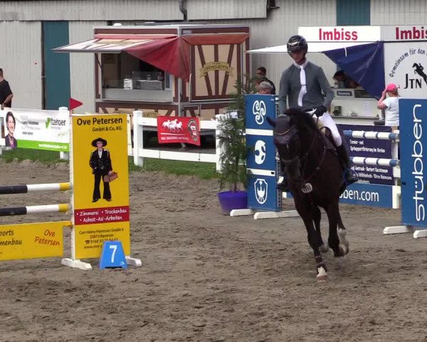 Reitturnier Mildstedt 2023