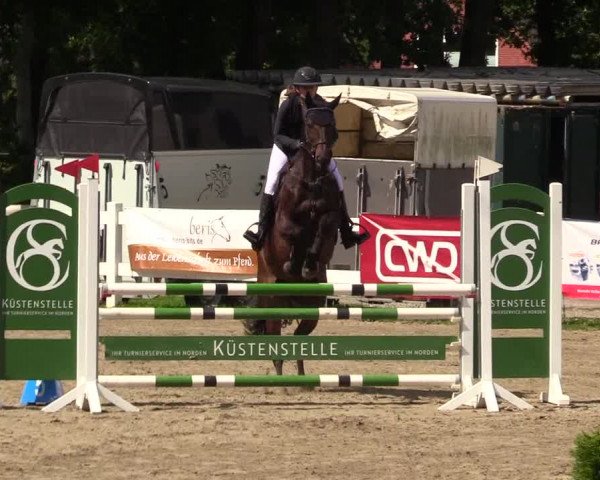 Reitturnier Mildstedt 2023