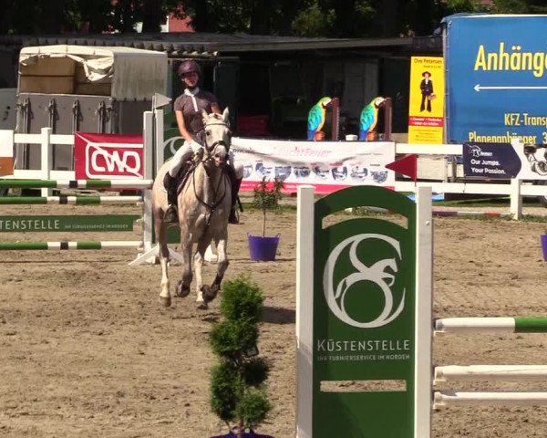 Reitturnier Mildstedt 2023
