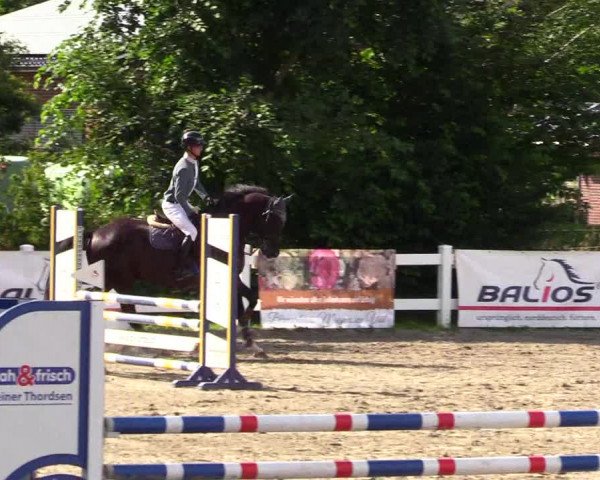 Reitturnier Mildstedt 2023