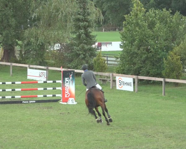 Reitturnier Pennigbüttel 2023