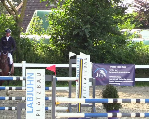 Reitturnier Mildstedt 2023