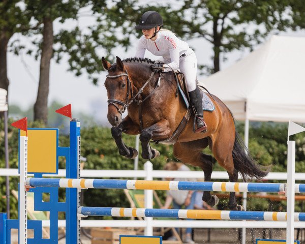 jumper Canthara 3 (Hanoverian, 2018, from Conthargos)
