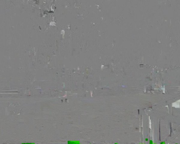 Westfälische Stuten- und Fohlenschau Heiden 2023