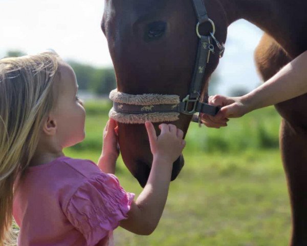 Pferd Börnas Babilu LK (Westfale, 2023, von Baggio 17)
