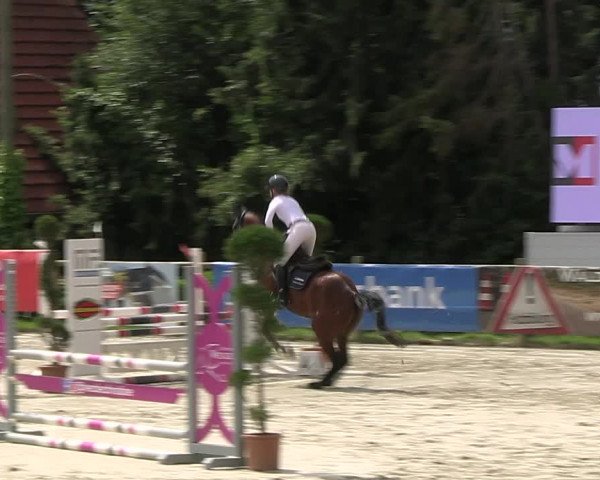 Reitturnier Vlotho-Exter 2023