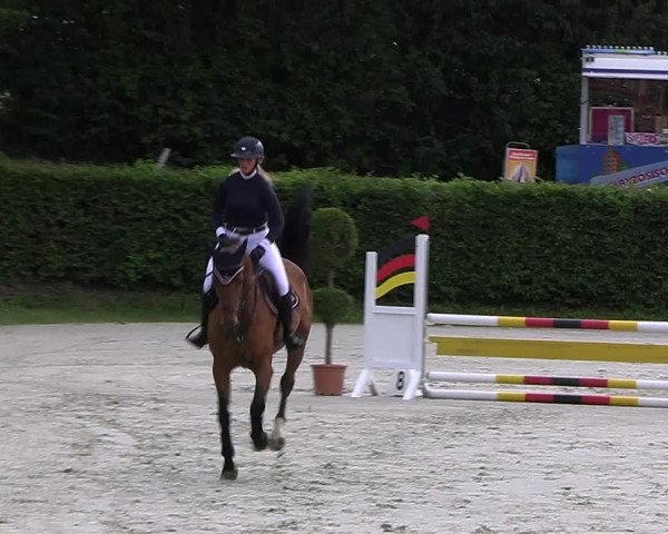 Reitturnier Vlotho-Exter 2023