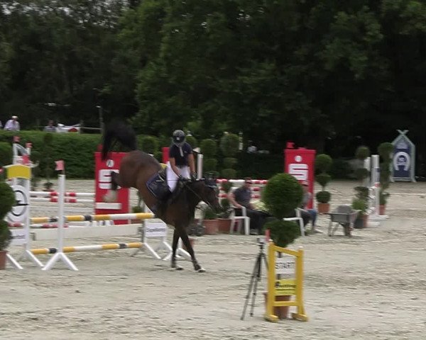 Reitturnier Vlotho-Exter 2023