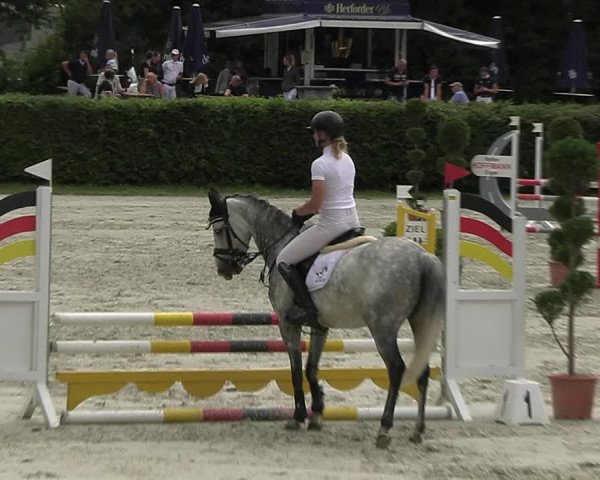 Reitturnier Vlotho-Exter 2023