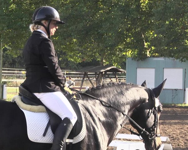 Reitturnier Forst 2021