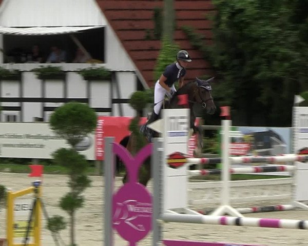 Reitturnier Vlotho-Exter 2023