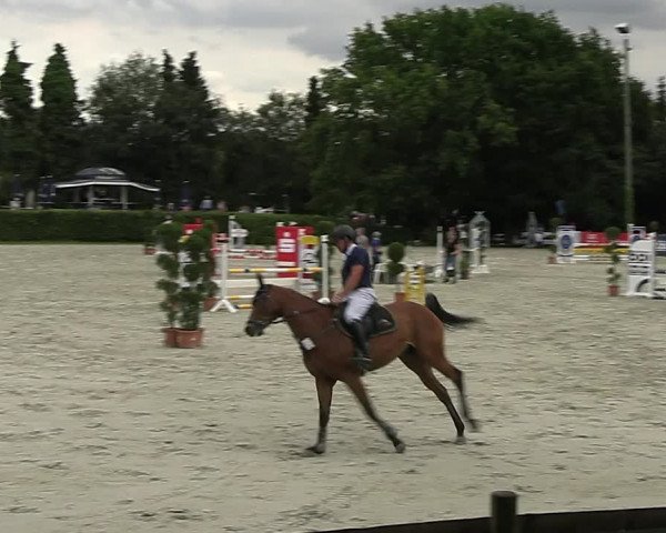 Reitturnier Vlotho-Exter 2023