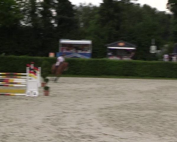 Reitturnier Vlotho-Exter 2023