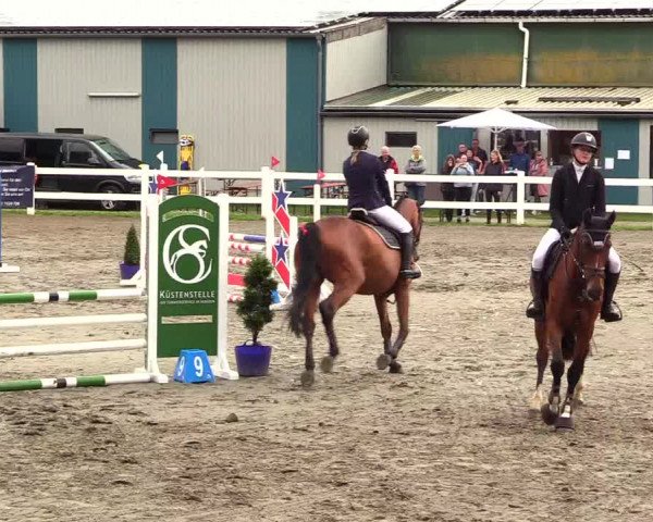 Reitturnier Mildstedt 2023