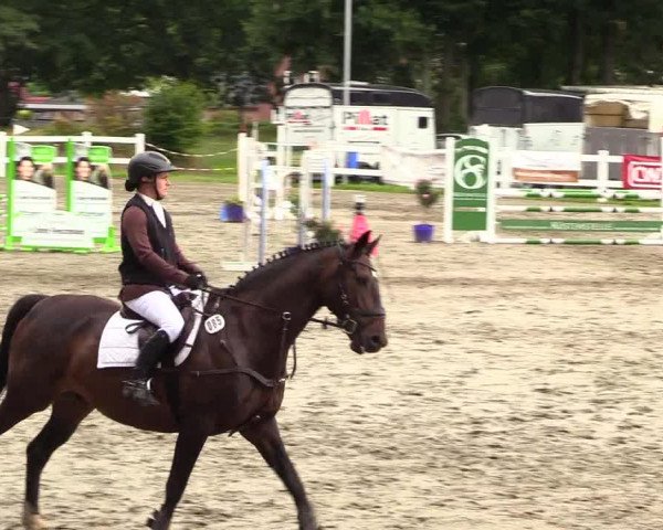 Reitturnier Mildstedt 2023