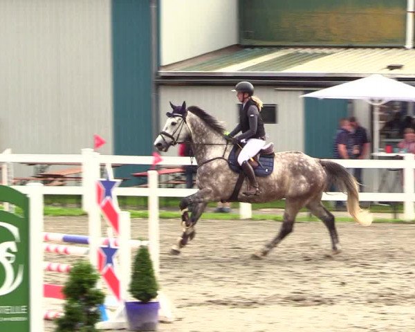 Reitturnier Mildstedt 2023