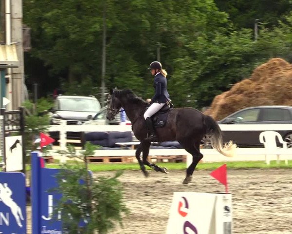Reitturnier Mildstedt 2023