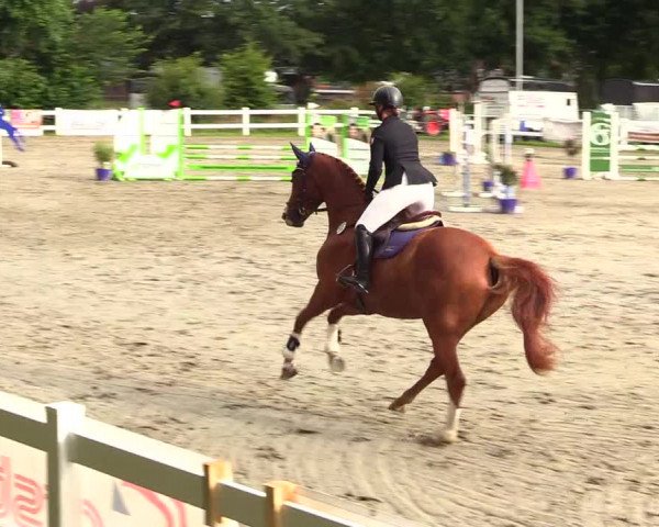 Reitturnier Mildstedt 2023