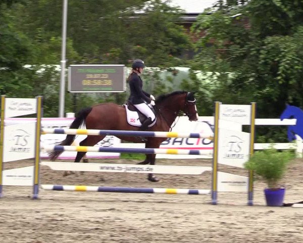 Reitturnier Mildstedt 2023