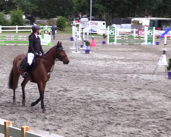 Reitturnier Mildstedt 2023