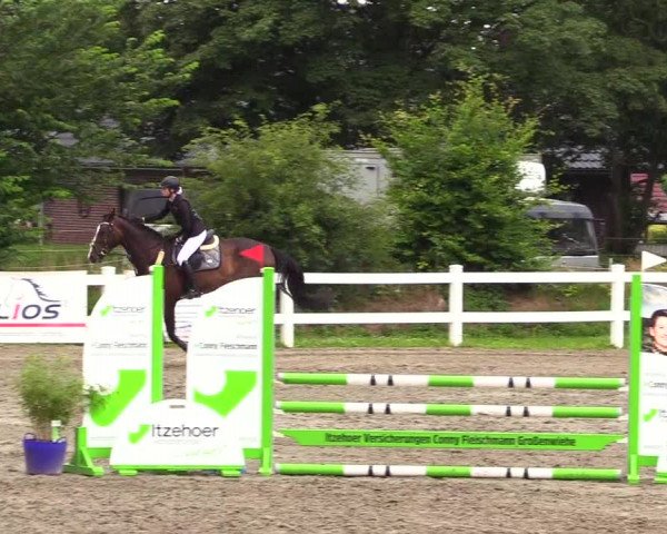 Reitturnier Mildstedt 2023