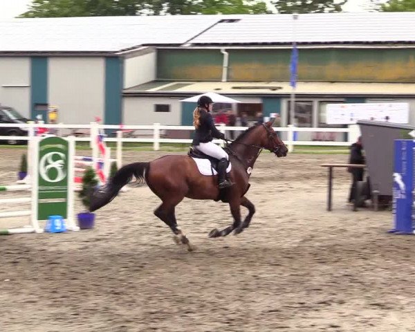 Reitturnier Mildstedt 2023