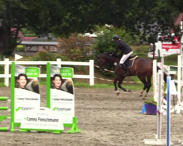 Reitturnier Mildstedt 2023