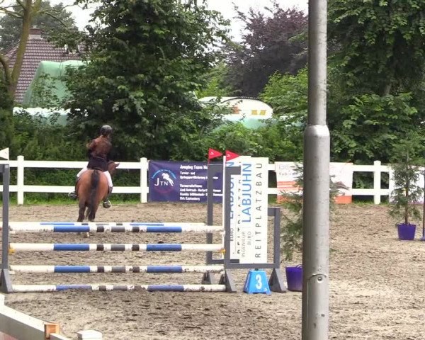 Reitturnier Mildstedt 2023