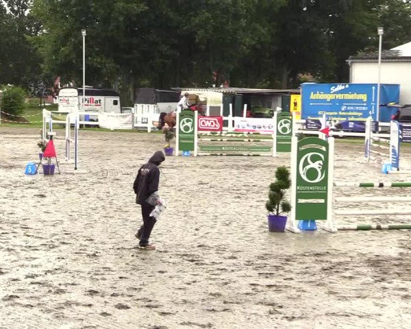 Reitturnier Mildstedt 2023