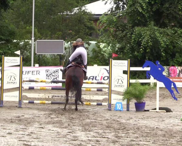 Reitturnier Mildstedt 2023