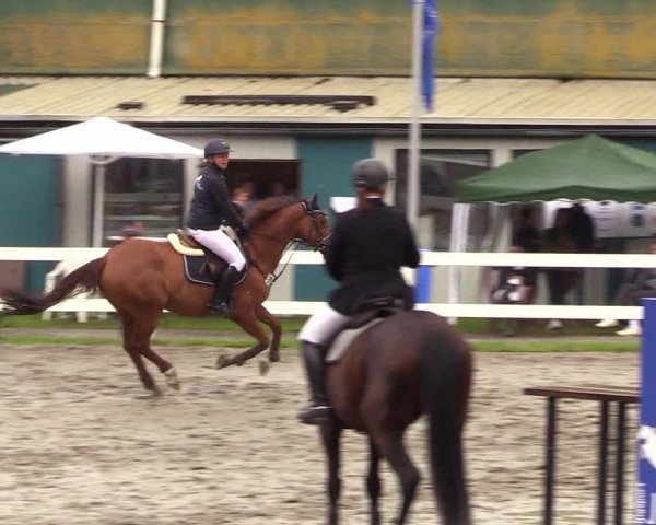 Reitturnier Mildstedt 2023