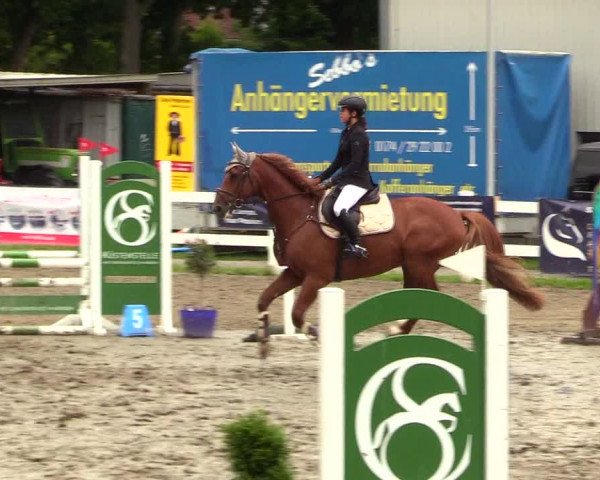 Reitturnier Mildstedt 2023