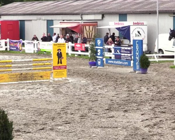 Reitturnier Mildstedt 2023