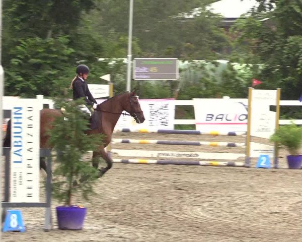 Reitturnier Mildstedt 2023